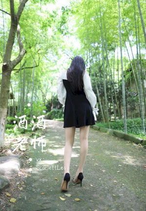 美国豚鼠_手机免费播放动漫