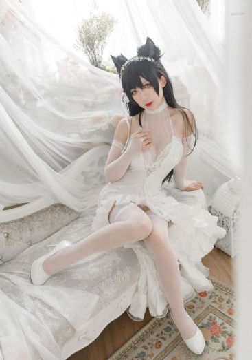 傅先生别追了短剧免费观看_高清完整版